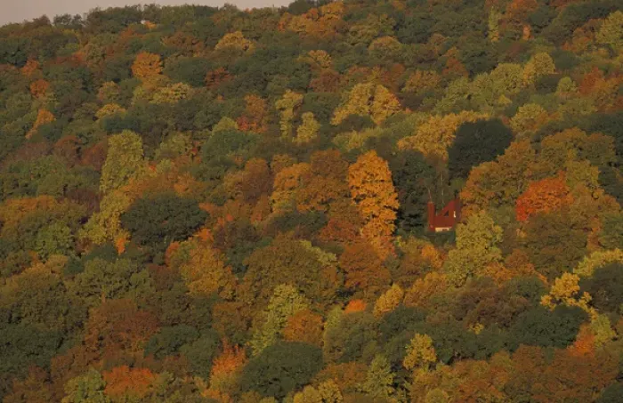 Framed Print : View from the Henderson property. The fall colors of the oak-hickory forest in Connecticut s Framed Print : View from the Henderson property. The fall colors of the oak-hickory forest in Connecticut s