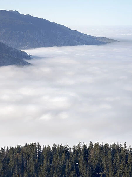 View from Mount Hoernle over a sea of fog hiding the foothills of the Bavarian Alps