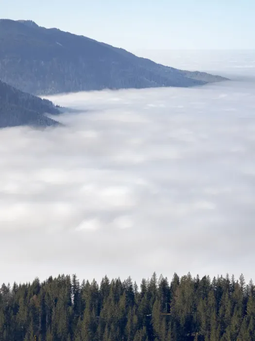 Framed Print : View from Mount Hoernle over a sea of fog hiding the foothills of the Bavarian Alps Framed Print : View from Mount Hoernle over a sea of fog hiding the foothills of the Bavarian Alps