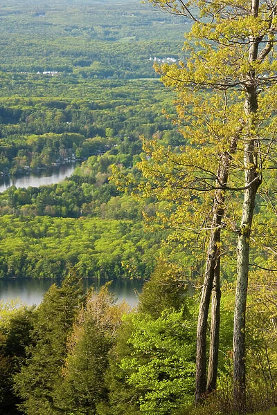 View from Mount Wachusett in Mount Wachusett State Park. Massachusetts
