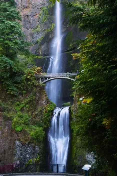 Framed Print : A view of Multnomah Falls in the Columbia River Gorge Scinic Area Framed Print : A view of Multnomah Falls in the Columbia River Gorge Scinic Area