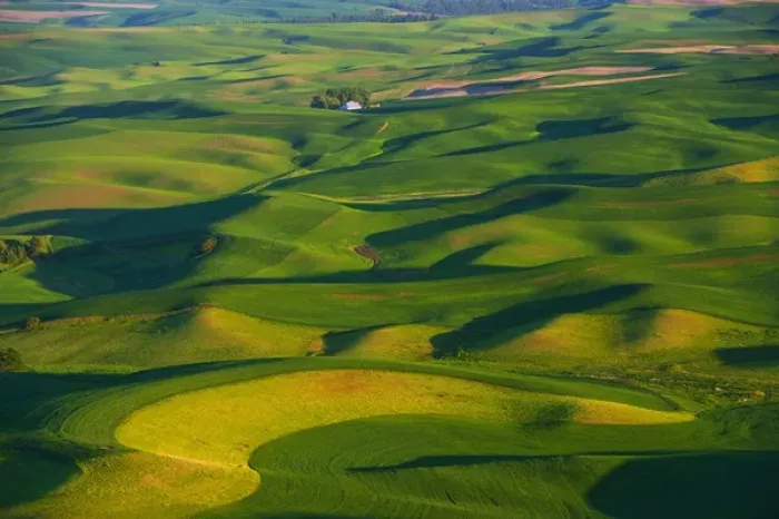 Framed Print : A view of the Palouse farm lands from Steptoe MT in Washington State