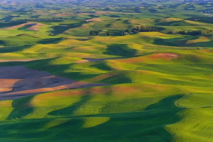 Framed Print : A view of the Palouse farm lands from Steptoe MT in Washington State Framed Print : A view of the Palouse farm lands from Steptoe MT in Washington State
