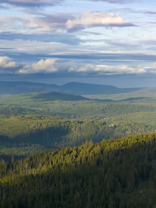 Framed Print : View from the peak of Mt. Lusen in the National Park Bavarian Forest (NP Bayerischer Wald Framed Print : View from the peak of Mt. Lusen in the National Park Bavarian Forest (NP Bayerischer Wald