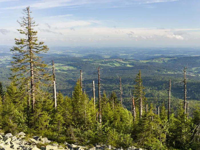 Framed Print : View from the peak of Mt. Lusen in the National Park Bavarian Forest (NP Bayerischer Wald Framed Print : View from the peak of Mt. Lusen in the National Park Bavarian Forest (NP Bayerischer Wald