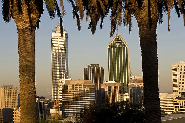 View of the Perth Central Business District skyline from Kings Park, Western Australia, Australia