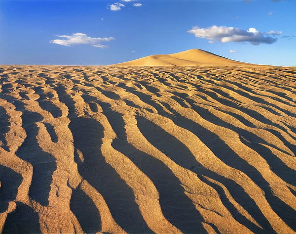 View of sand in desert