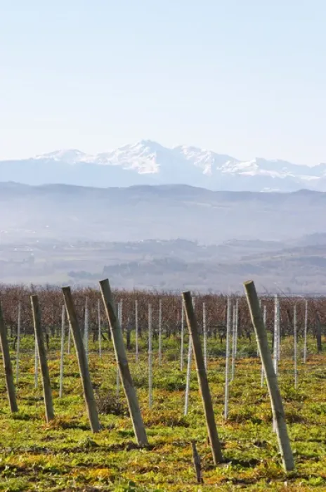 Framed Print : View over the snow capped Pyrenees mountains. Chateau Rives-Blanques. Limoux. Languedoc