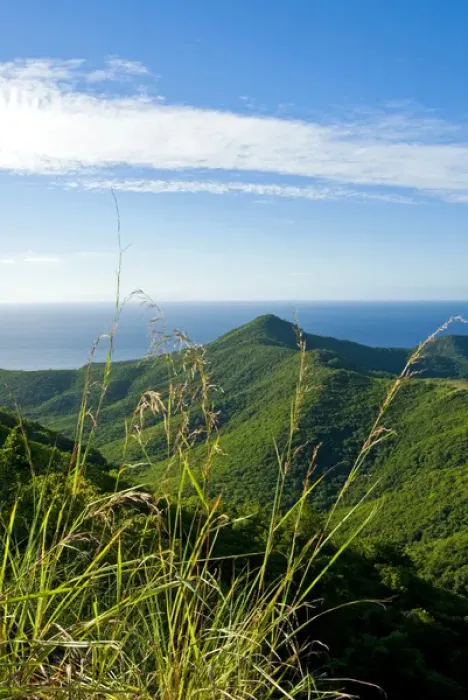 Framed Print : View of south west coast from Boggy Peak, Antigua, West Indies, Caribbean, Central Framed Print : View of south west coast from Boggy Peak, Antigua, West Indies, Caribbean, Central