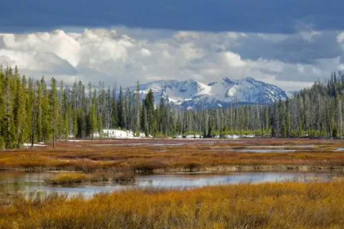 Framed Print : View from southern end of Yellowstone National Park, looking toward Grand Teton National Park
