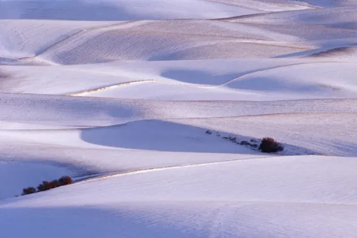 Framed Print : View from Steptoe Butte of rolling hills covered in winter snow in Whitman County