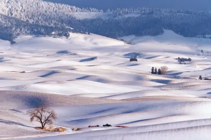 Framed Print : View from Steptoe Butte of rolling hills covered in winter snow in Whitman County