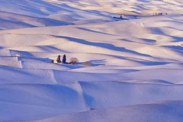 Framed Print : View from Steptoe Butte of rolling hills covered in winter snow in Whitman County