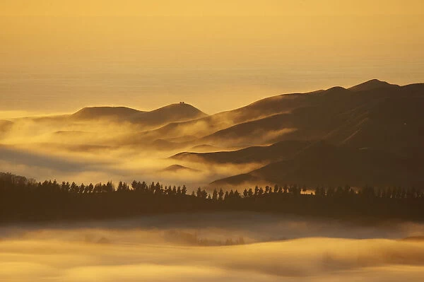 View from Te Mata Peak and Early Light on Morning Mist, Hawkes Bay, North Island