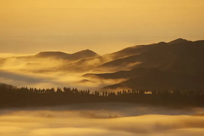 Framed Print : View from Te Mata Peak and Early Light on Morning Mist, Hawkes Bay, North Island