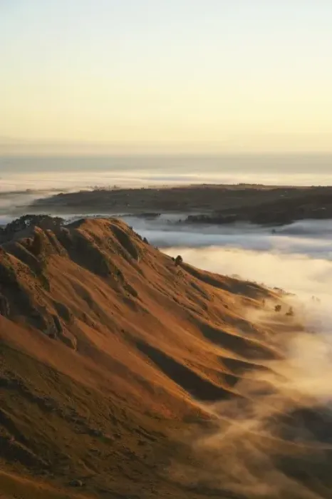 Framed Print : View of Te Mata Peak and Early Morning Mist, Hawkes Bay, North Island, New Zealand