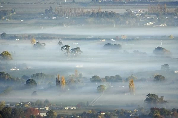 View from Te Mata Peak of Early Morning Mist over Havelock North, Hawkes Bay, North Island
