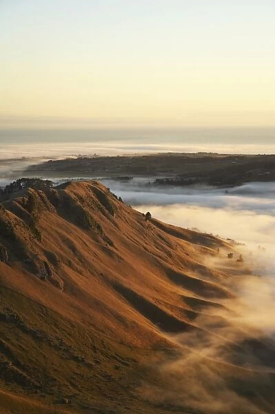 View of Te Mata Peak and Early Morning Mist, Hawkes Bay, North Island, New Zealand