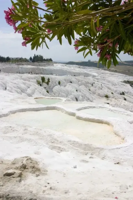 Framed Print : View of the travertine rocks with tourists and oleander, Pamukkale (ancient Hierapolis)