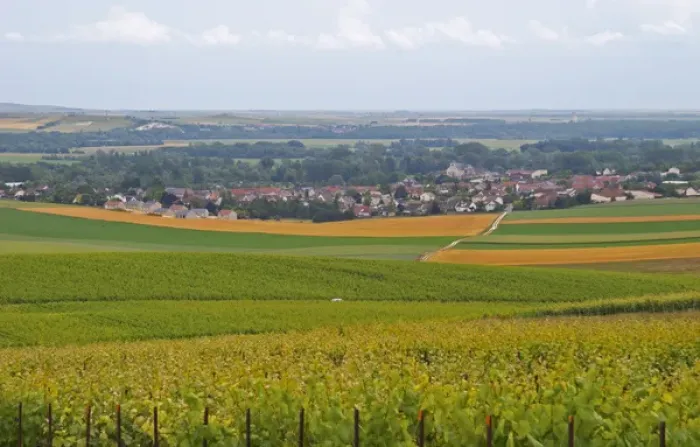 Framed Print : a view over the village and vineyards of Chouilly at the experimental vineyard of Framed Print : a view over the village and vineyards of Chouilly at the experimental vineyard of
