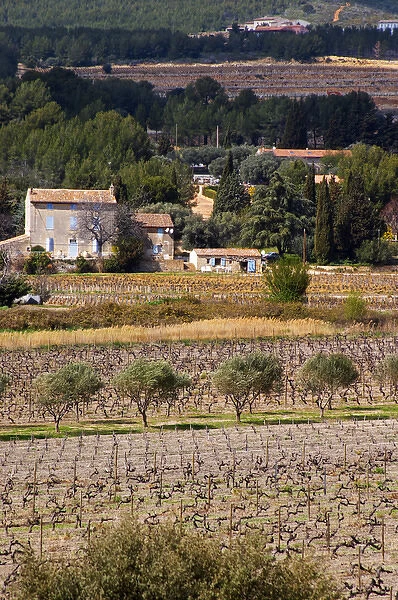 view over the vineyard, small Provencal village in the background Chateau Vannieres