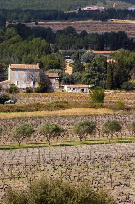Framed Print : view over the vineyard, small Provencal village in the background Chateau Vannieres Framed Print : view over the vineyard, small Provencal village in the background Chateau Vannieres