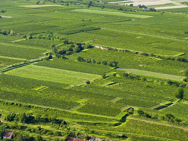 View over the vineyards near the Danube from Gottweig Abbey, a UNESCO World Heritage Site
