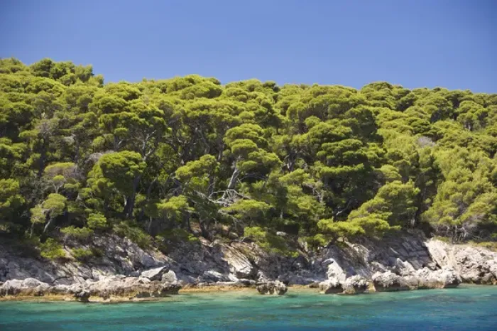 Framed Print : Views around Kolocep Island, Boat tour of Elaphite Islands from Dubrovnik, Southeastern Framed Print : Views around Kolocep Island, Boat tour of Elaphite Islands from Dubrovnik, Southeastern