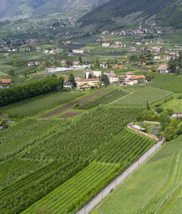 Framed Print : Village of Algund (lagundo) in the valley of river Etsch surrounded by vineyards Framed Print : Village of Algund (lagundo) in the valley of river Etsch surrounded by vineyards