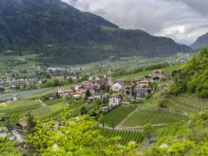 Framed Print : Village of Algund (lagundo) in the valley of river Etsch surrounded by vineyards Framed Print : Village of Algund (lagundo) in the valley of river Etsch surrounded by vineyards
