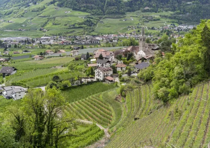 Framed Print : Village of Algund (lagundo) in the valley of river Etsch surrounded by vineyards Framed Print : Village of Algund (lagundo) in the valley of river Etsch surrounded by vineyards