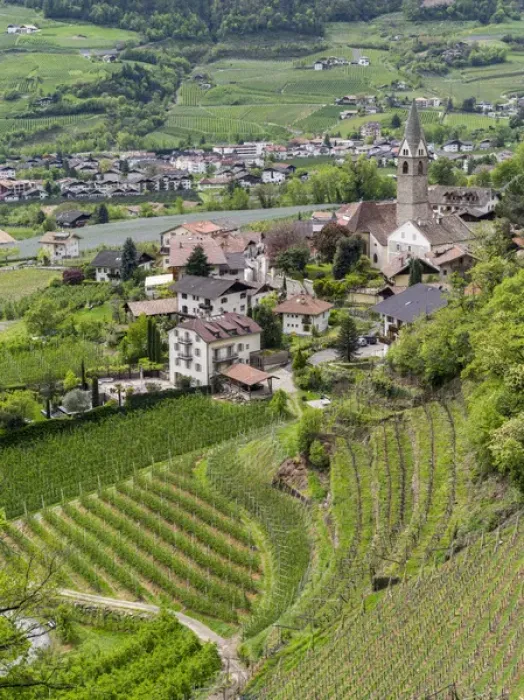 Framed Print : Village of Algund (lagundo) in the valley of river Etsch surrounded by vineyards Framed Print : Village of Algund (lagundo) in the valley of river Etsch surrounded by vineyards
