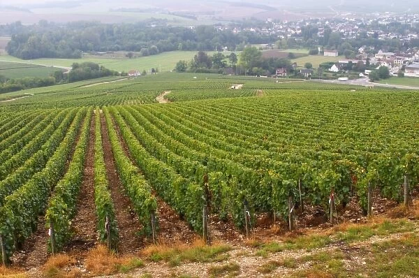 The village Chablis, Bourgogne, and the Les Clos grand cru vineyard seen from top of the hill
