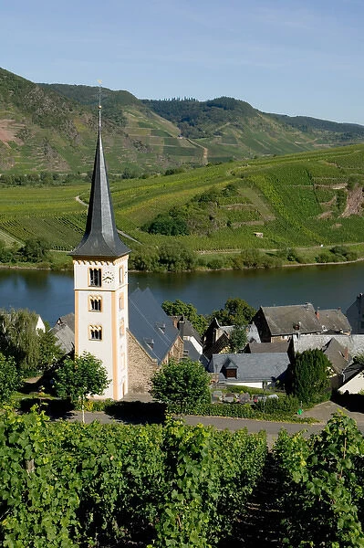 Village church of Bremm, vineyards, Mosel Valley, Rhineland Palatinate, Germany