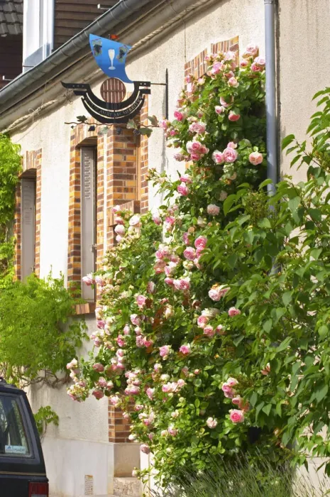 Framed Print : A village hous with a giant rose bush and a wrought A wrouight iron painted sign