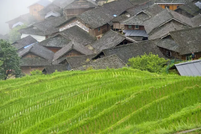 Framed Print : Village with rice terrace in the mountain in morning mist, Jiabang, Guizhou Province Framed Print : Village with rice terrace in the mountain in morning mist, Jiabang, Guizhou Province