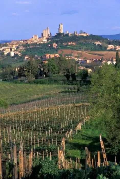 Framed Print : The village of San Gimignano sits in the rolling hills of Tuscany, Italy Framed Print : The village of San Gimignano sits in the rolling hills of Tuscany, Italy