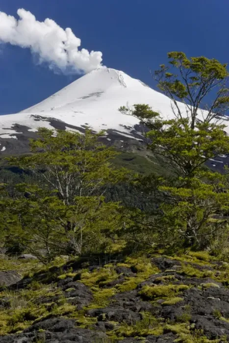 Framed Print : Villarrica National Park, Chile. South America