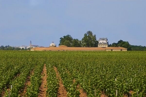 Vineyard of Chateau Latour with the winery Latour Tower on the left and the chateau