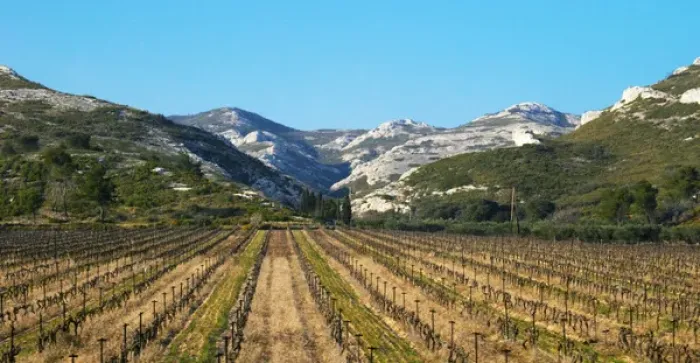 Framed Print : A vineyard and the mountain Les Alpilles at Les Baux de Provence, Bouche du Rhone, France Framed Print : A vineyard and the mountain Les Alpilles at Les Baux de Provence, Bouche du Rhone, France