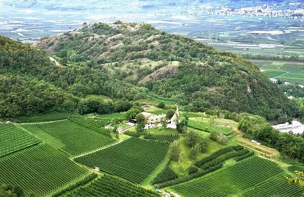 A vineyard near Mezzocorona grows grapes to make Teroldego wine