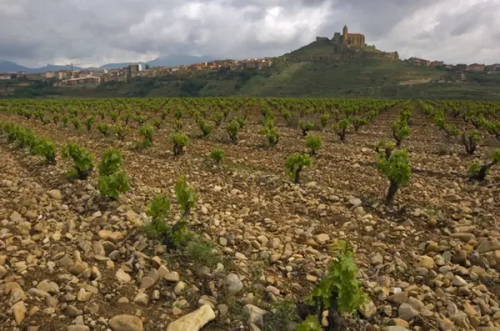 Framed Print : Vineyard in stony soil with San Vicente de la Sonsierra village on hill in the distance Framed Print : Vineyard in stony soil with San Vicente de la Sonsierra village on hill in the distance