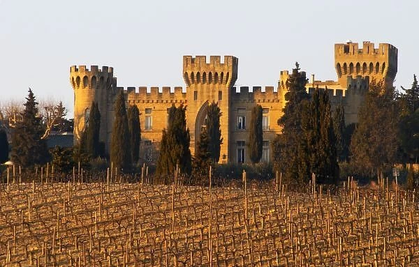 The vineyard with syrah vines and the chateau des fines roches, Chateauneuf-du-Pape