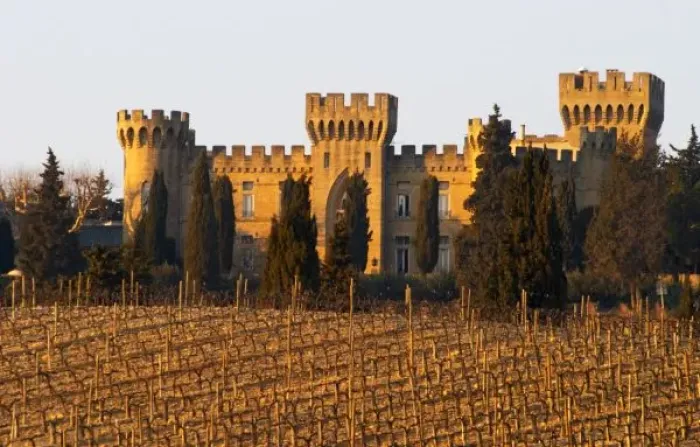 Framed Print : The vineyard with syrah vines and the chateau des fines roches, Chateauneuf-du-Pape