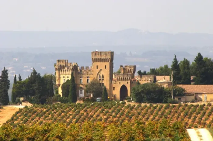 Framed Print : The vineyard with syrah vines and the chateau des fines roches Chateauneuf du Pape Vaucluse