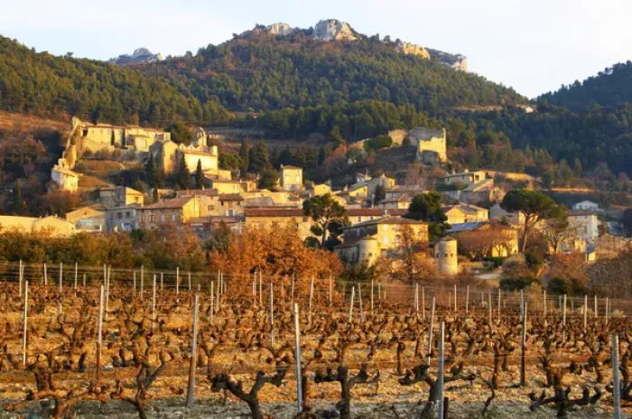 Framed Print : A vineyard with syrah vines at sunset and the village Gigondas, Vaucluse, Rhone, Provence