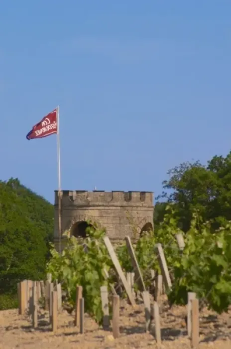 Framed Print : The vineyard, tower and flag of Chateau Cos d Estournel Saint Estephe Medoc Bordeaux