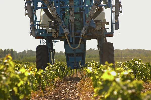 A vineyard tractor equipped with claws to work the soil and remove weed - Chateau Belgrave
