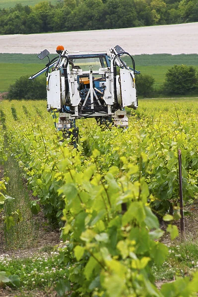 A vineyard tractor that can be used for spraying and for mechanical weed removal