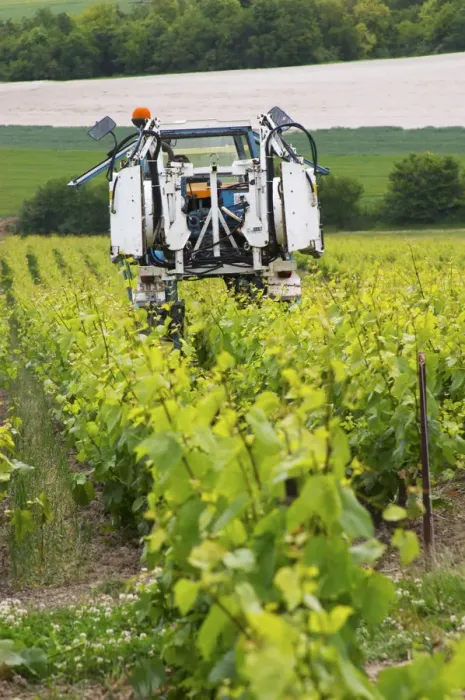 Framed Print : A vineyard tractor that can be used for spraying and for mechanical weed removal Framed Print : A vineyard tractor that can be used for spraying and for mechanical weed removal